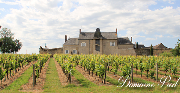 domaine pied flond angers