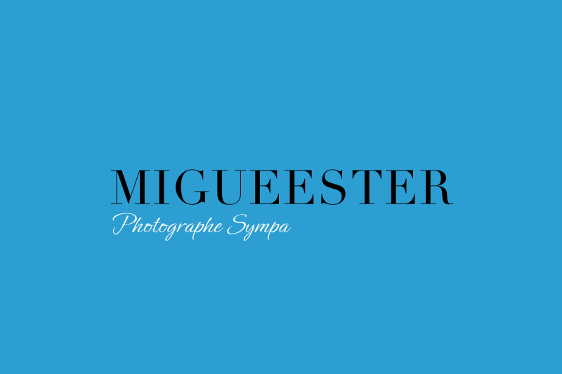 Migueester