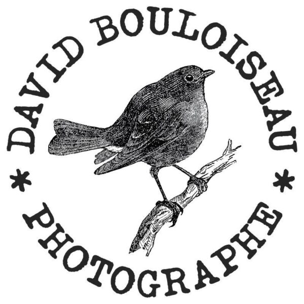 David Bouloiseau, photographe