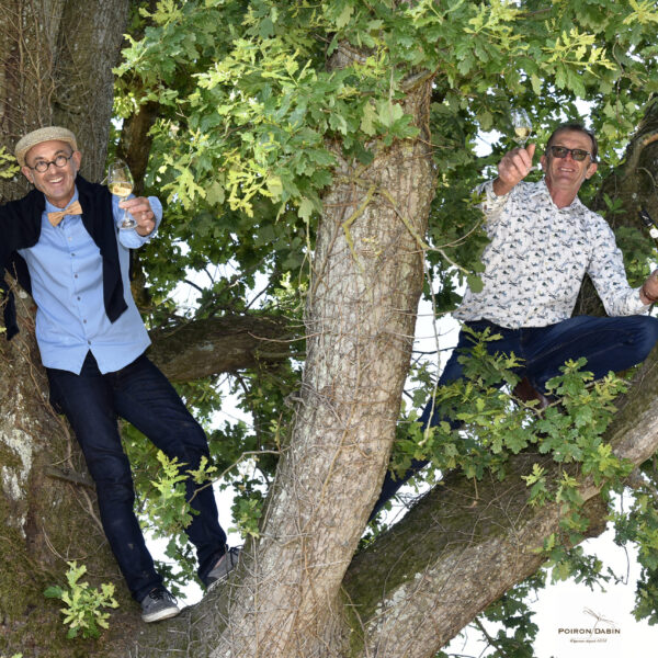 deux frères dans l'arbre